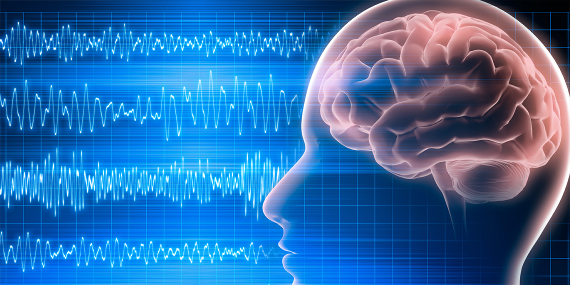 Early brain responses to political leaders’ faces appear unaffected by partisanship