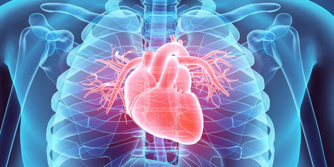 Studie zjistila, že psychicky nemocné ženy vykazují snížené obranné reakce srdce