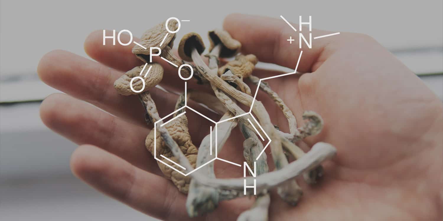 New compounds derived from magic mushrooms could transform psychiatric medications