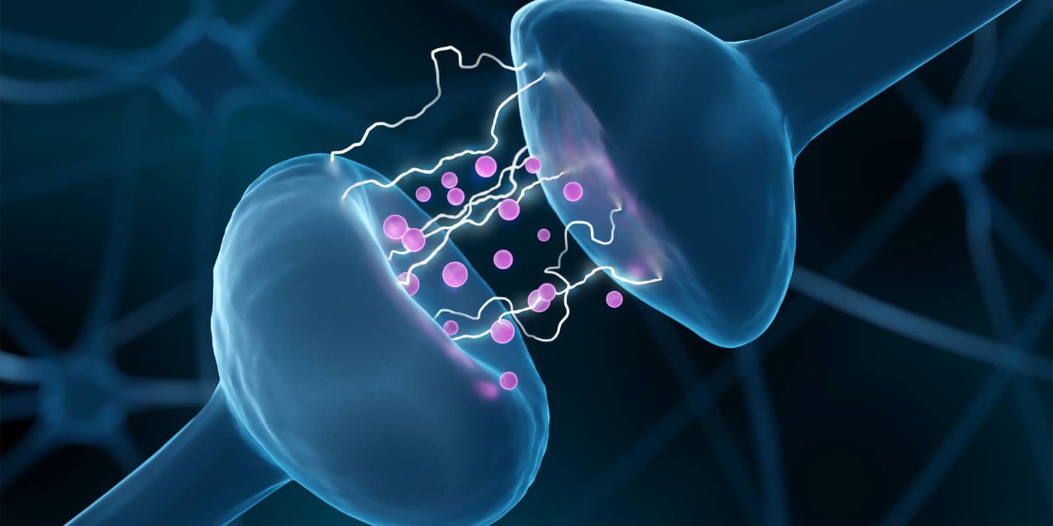 Scientists reveal dopamine and serotonin's opposing roles in fascinating neuroscience breakthrough