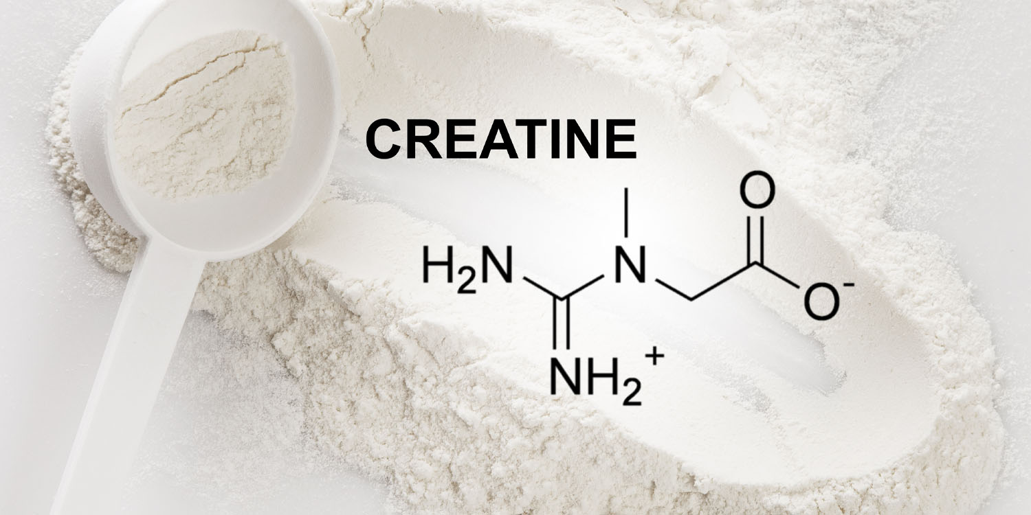 Scoop of creatine supplement