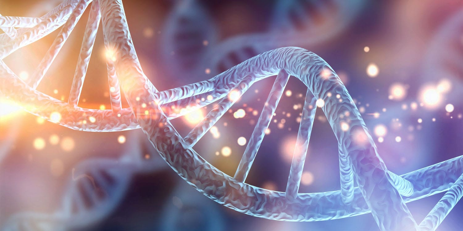 Genetic predisposition for ADHD and autism linked to higher heart disease risk