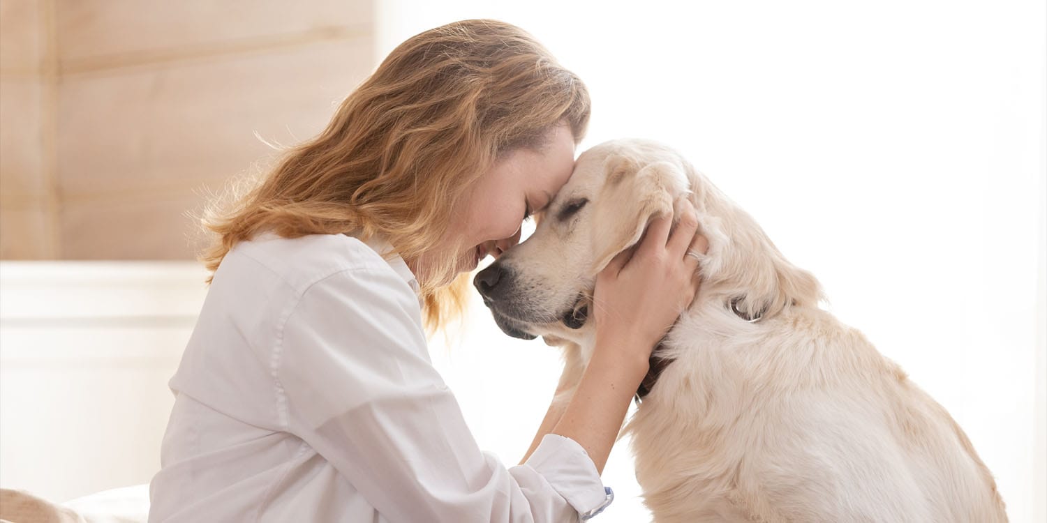 Science shows why dogs sense when you’re sad, stressed, or smiling