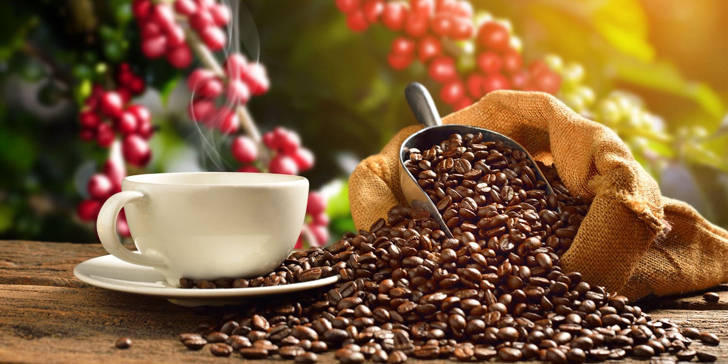 A new study demonstrates that ordinary espresso can effectively stain biological samples for electron microscopy. This household beverage offers a safe, low-cost alternative to the radioactive chemicals traditionally used in labs.