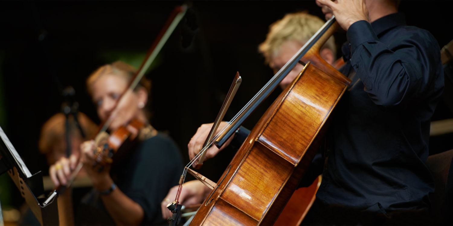 Music training may buffer children against the academic toll of poverty