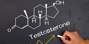 Enhanced testosterone levels, hormonal balance, and their impact on male health and behavior.