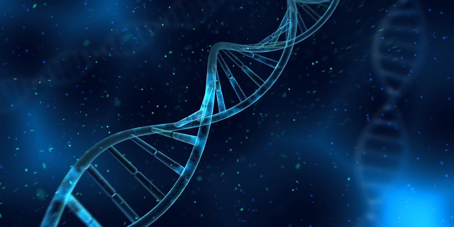 Strokes remain a leading cause of disability because the brain cannot easily heal itself. However, breakthrough research combining genetic engineering and stem cell therapy is finally offering a way to repair damaged neural circuits.