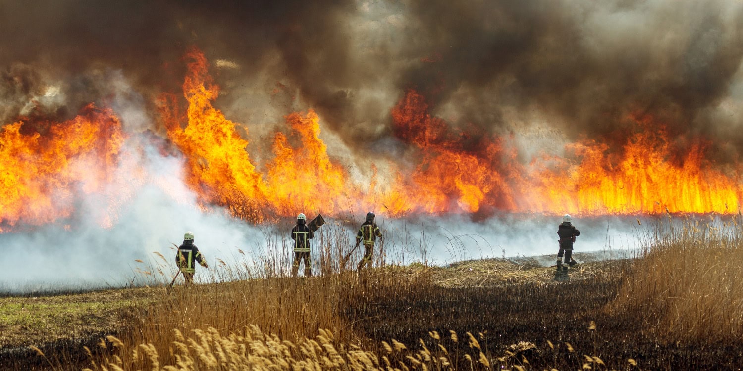 Humo de incendios forestales se asocia con crisis de salud mental en menores