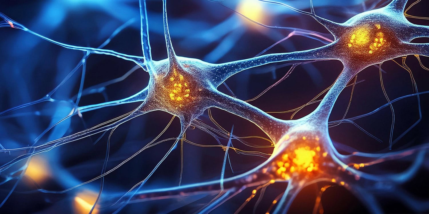 Neuroscience breakthroughs: Surprising truths about memory revealed in 7 recent studies - PsyPost