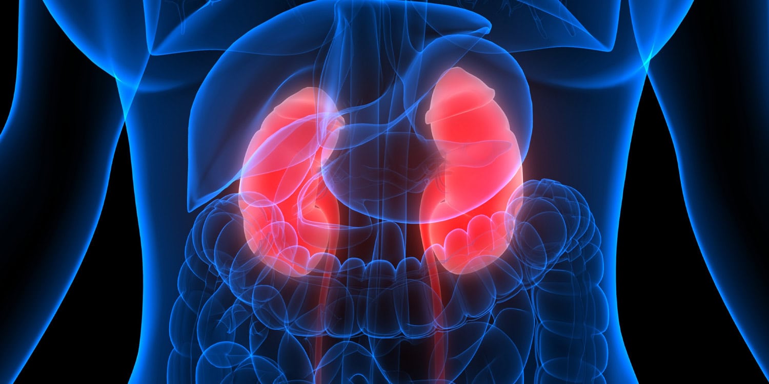 Scientists uncover kidney-to-brain route for Parkinson’s-related protein spread - PsyPost