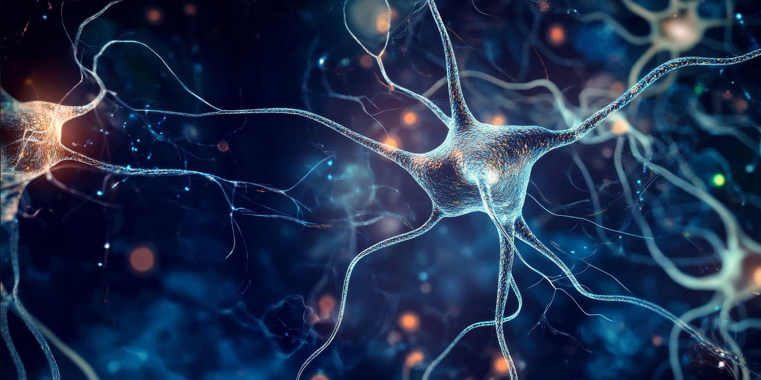 Neuroscientists discover biological mechanism that helps the brain ignore irrelevant information - PsyPost