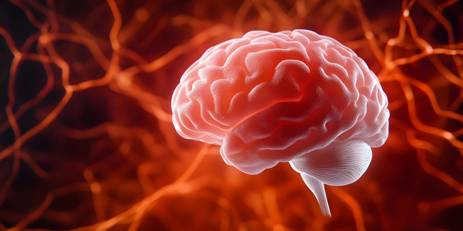 Ketogenic diet raises brain blood flow by 22% and BDNF by 47% in new study - PsyPost