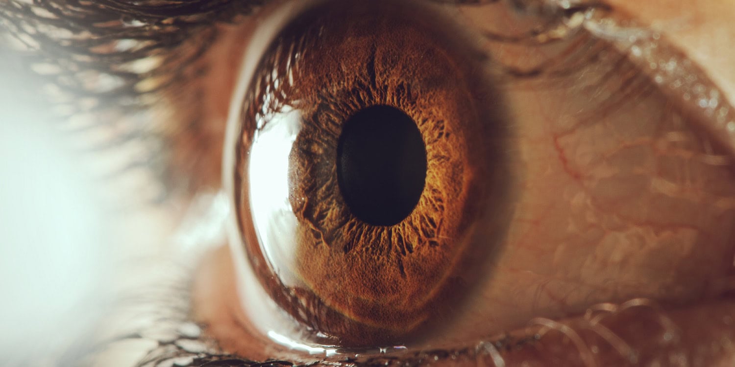 Scientists use AI to detect ADHD through unique visual rhythms in groundbreaking study