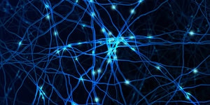 Neural network illustration representing brain connectivity and psychological research.