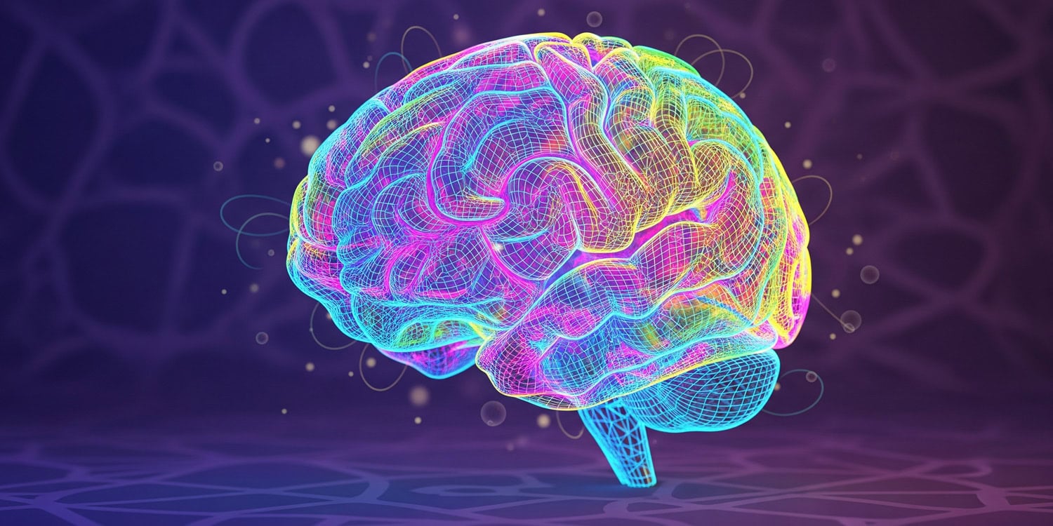Beynin çoxşaxəli quruluşu insan zəka­sının «planını» açdı
