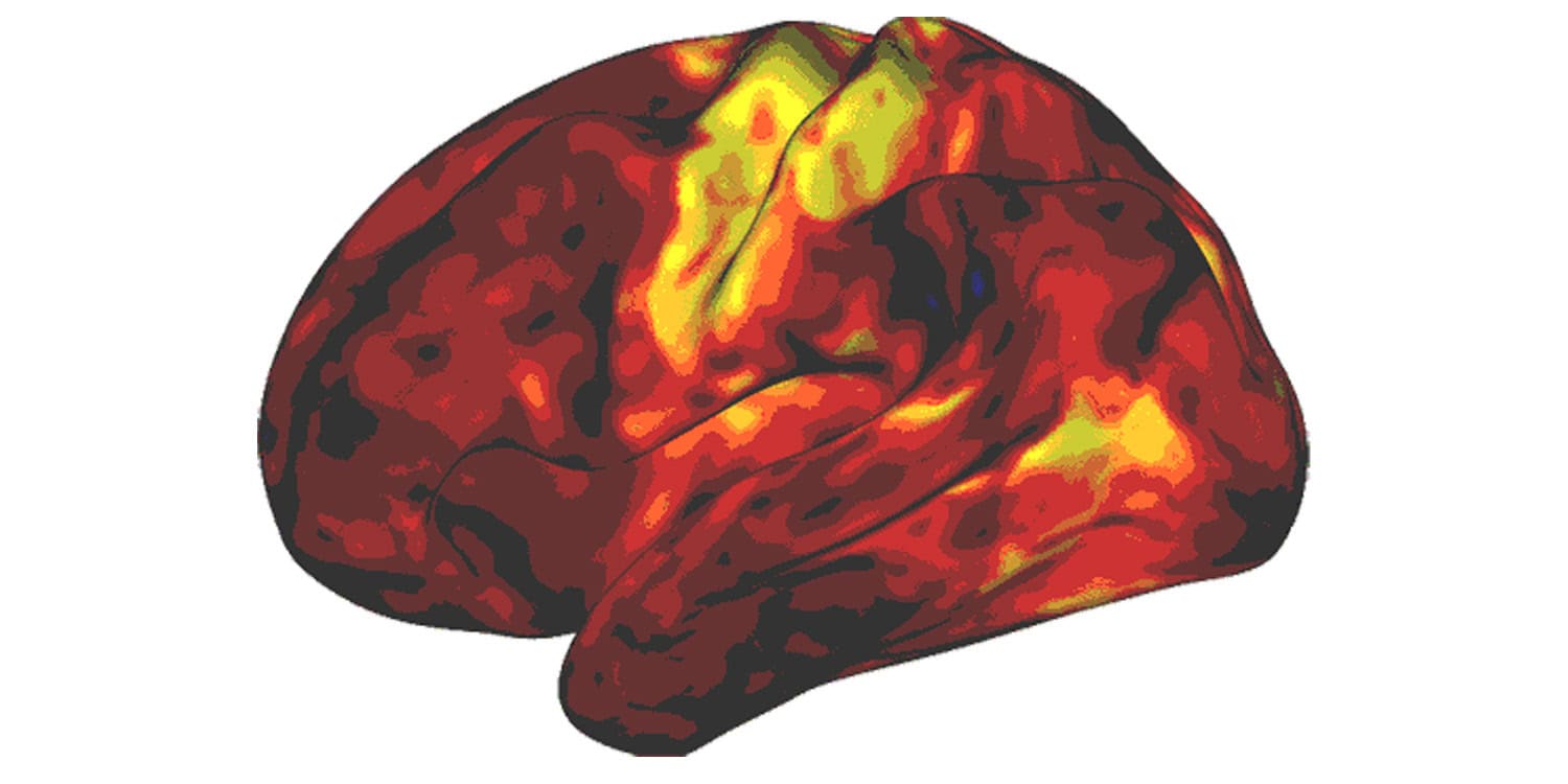 Common ADHD medications function differently than scientists previously thought