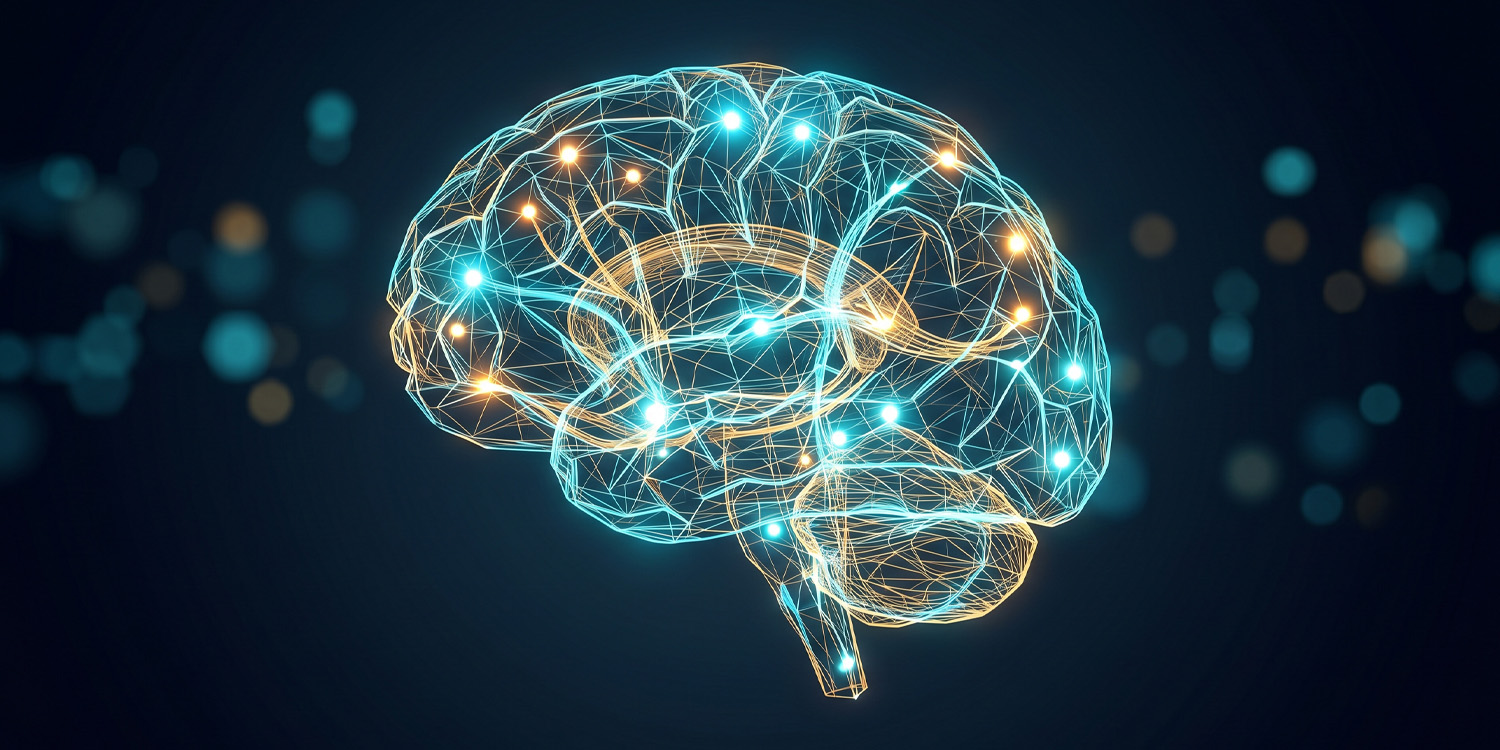 Bilingual brains use a shared neural map to translate meaning across languages