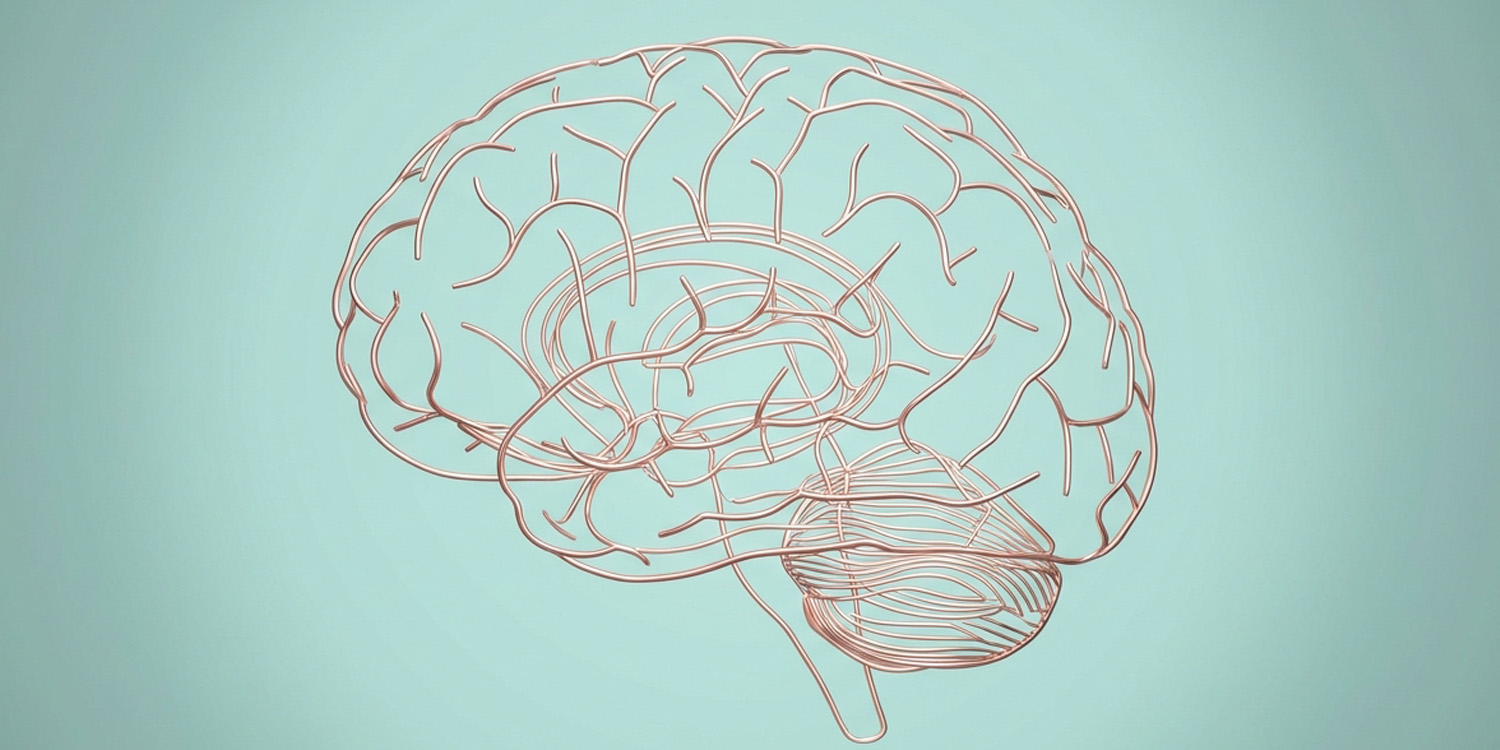Intelligence and personality traits do not predict inattentional blindness