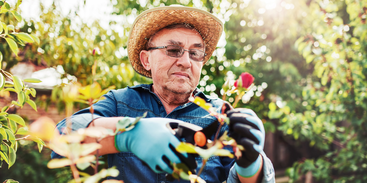 Engaging in gardening is associated with better well-being in older adulthood