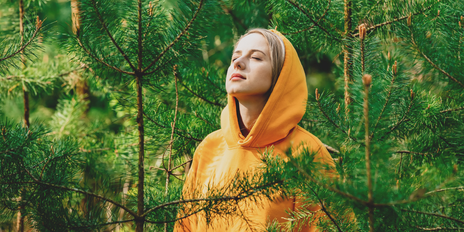 Can you recreate the mental benefits of a forest walk simply by diffusing tree essential oils indoors? A new study suggests the answer is no, finding no cognitive or mood improvements from smelling fir or cypress oils.