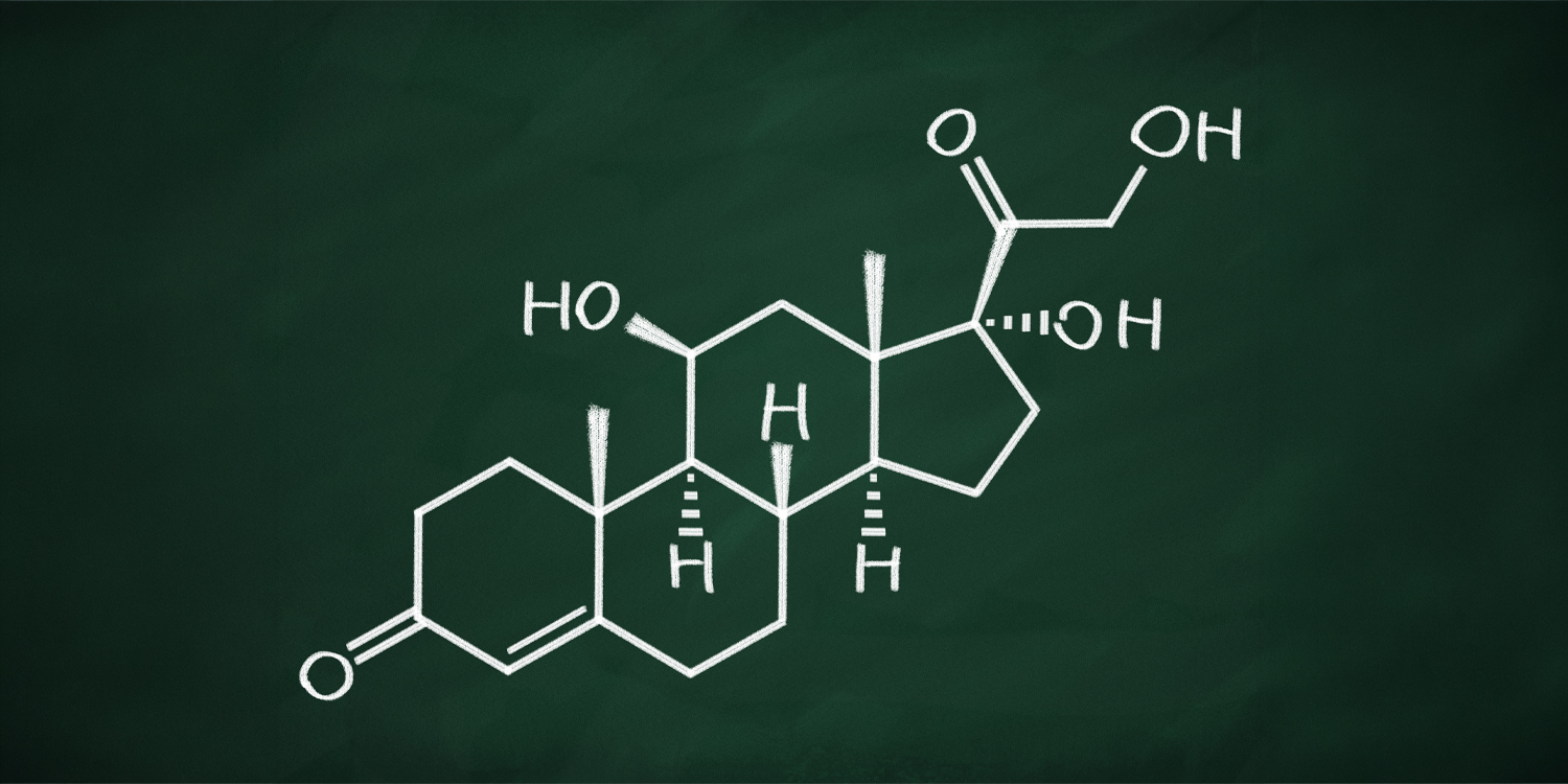 Scientists discover how cortisol helps lock in early neural connections