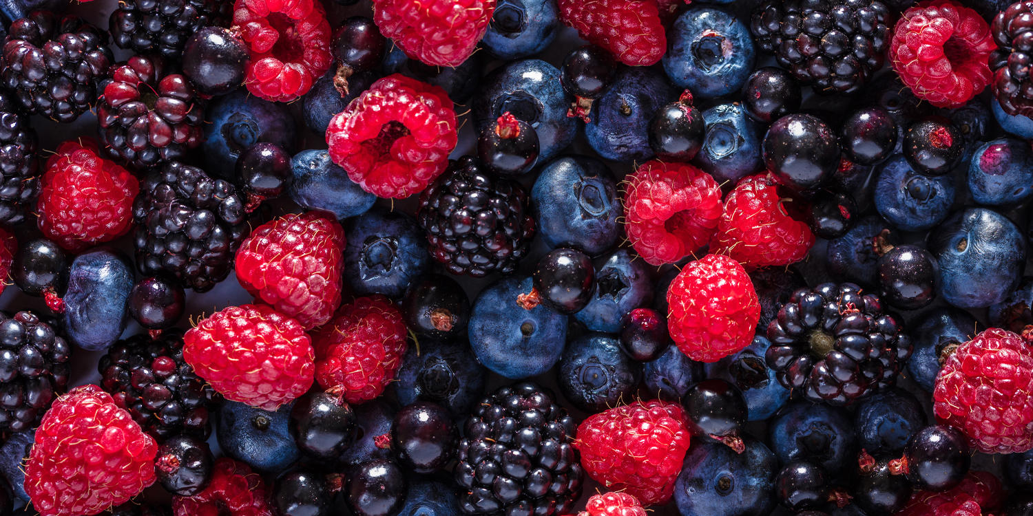 Plant-based compounds in berries and tea may help delay brain aging