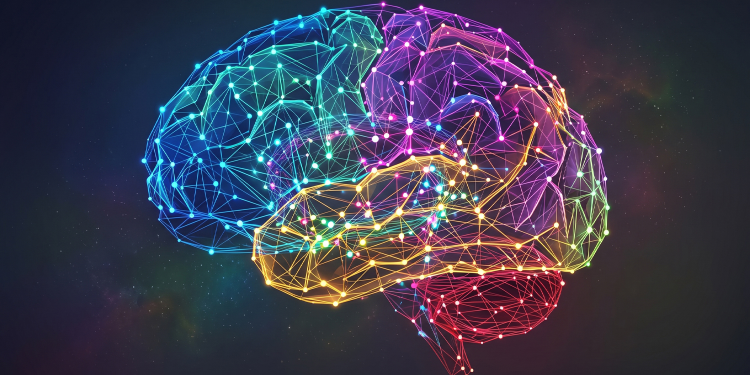 Infant brain structure predicts future intelligence scores