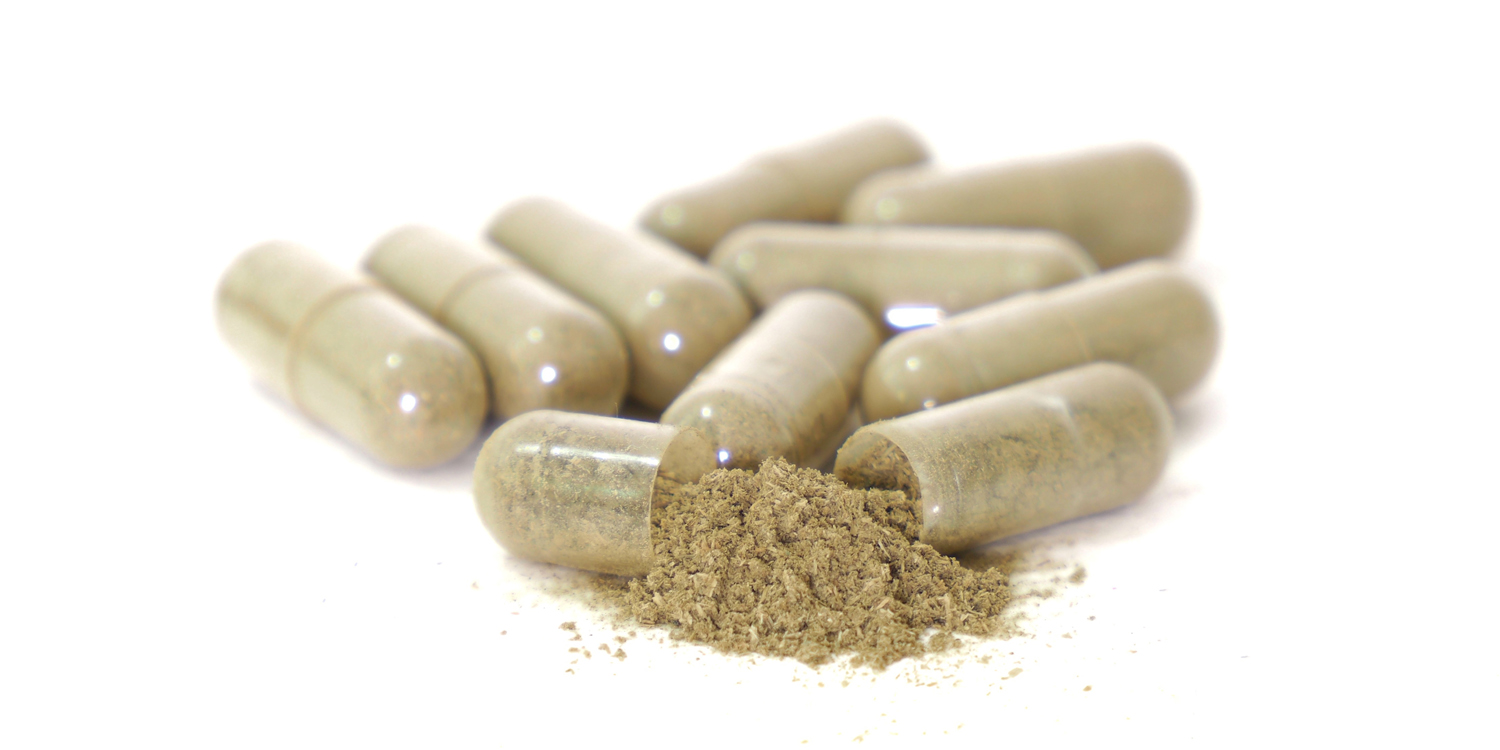 American ginseng extract improves memory and clearing of cellular waste in aging rats