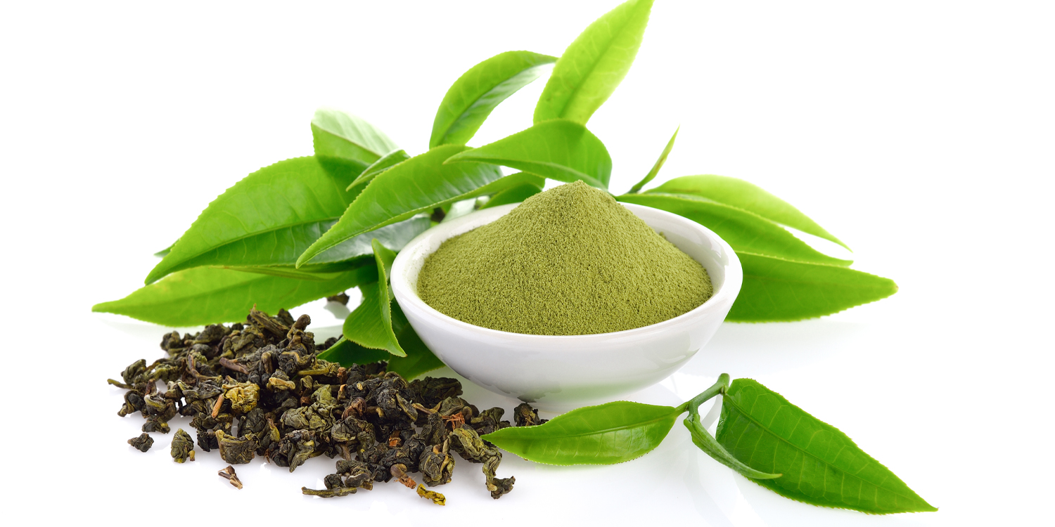 Green tea compound shows promise in protecting the brain from obesity-related damage