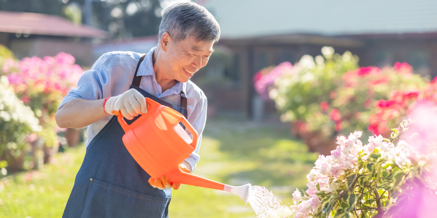 Watering plants lowers blood pressure and anxiety in older adults